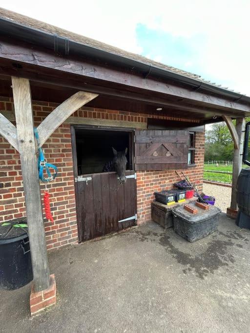 Appartement The Stable, Grove End Farm à Petworth Extérieur photo
